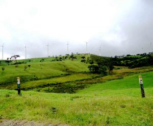 Real Feeling of Ambewela Wind Power & Ambewela Farm Nuwara Eliya