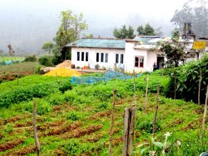 holiday bungalows in horton plains