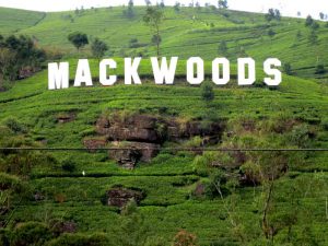 Mackwoods Tea Plantation Sri-Lanka